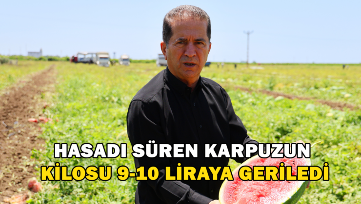 Hasadı Süren Karpuzun Kilosu 9-10 Liraya Geriledi
