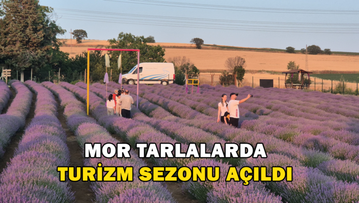Mor Tarlalarda Turizm Sezonu Açıldı