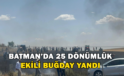 Batman’da Yaklaşık 25 Dönüm Ekili Buğday Yandı