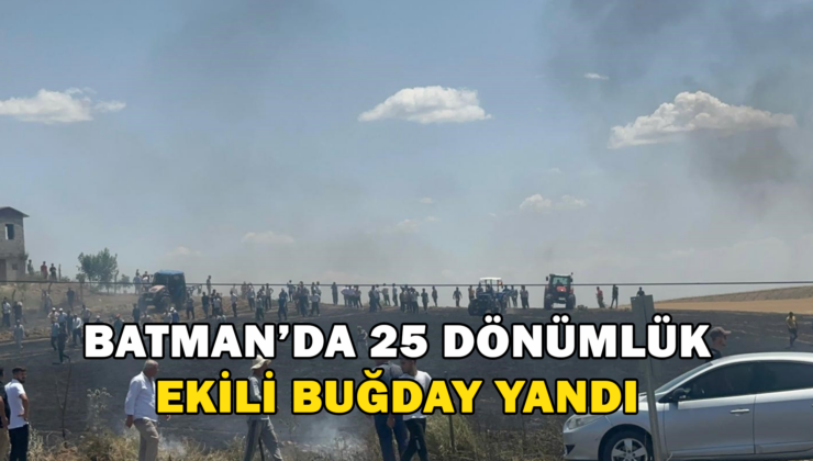 Batman’Da Yaklaşık 25 Dönüm Ekili Buğday Yandı