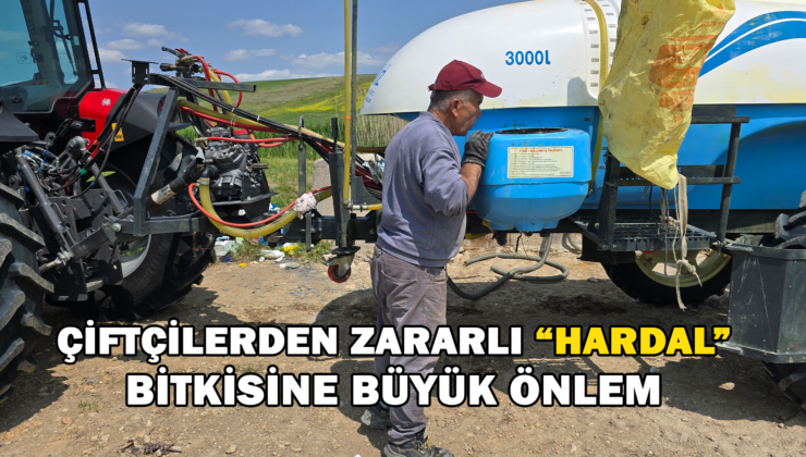 Çiftçiler, Zararlı Bitkiye Karşı Önlem Almaya Başladı