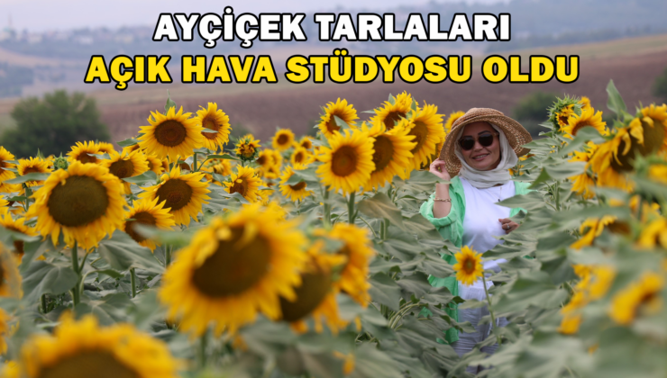 Ayçiçek Tarlaları Açık Hava Stüdyosu Oldu