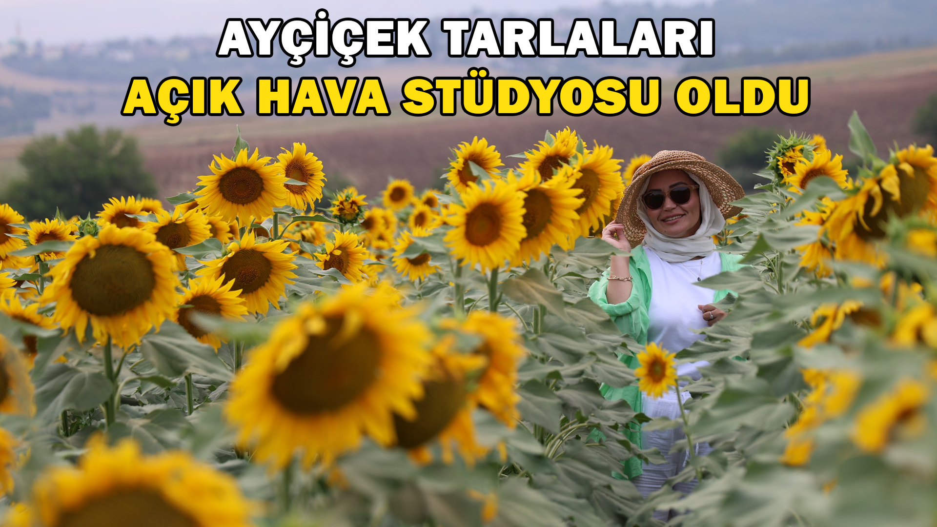 Ayçiçek Tarlaları Açık Hava Stüdyosu Oldu