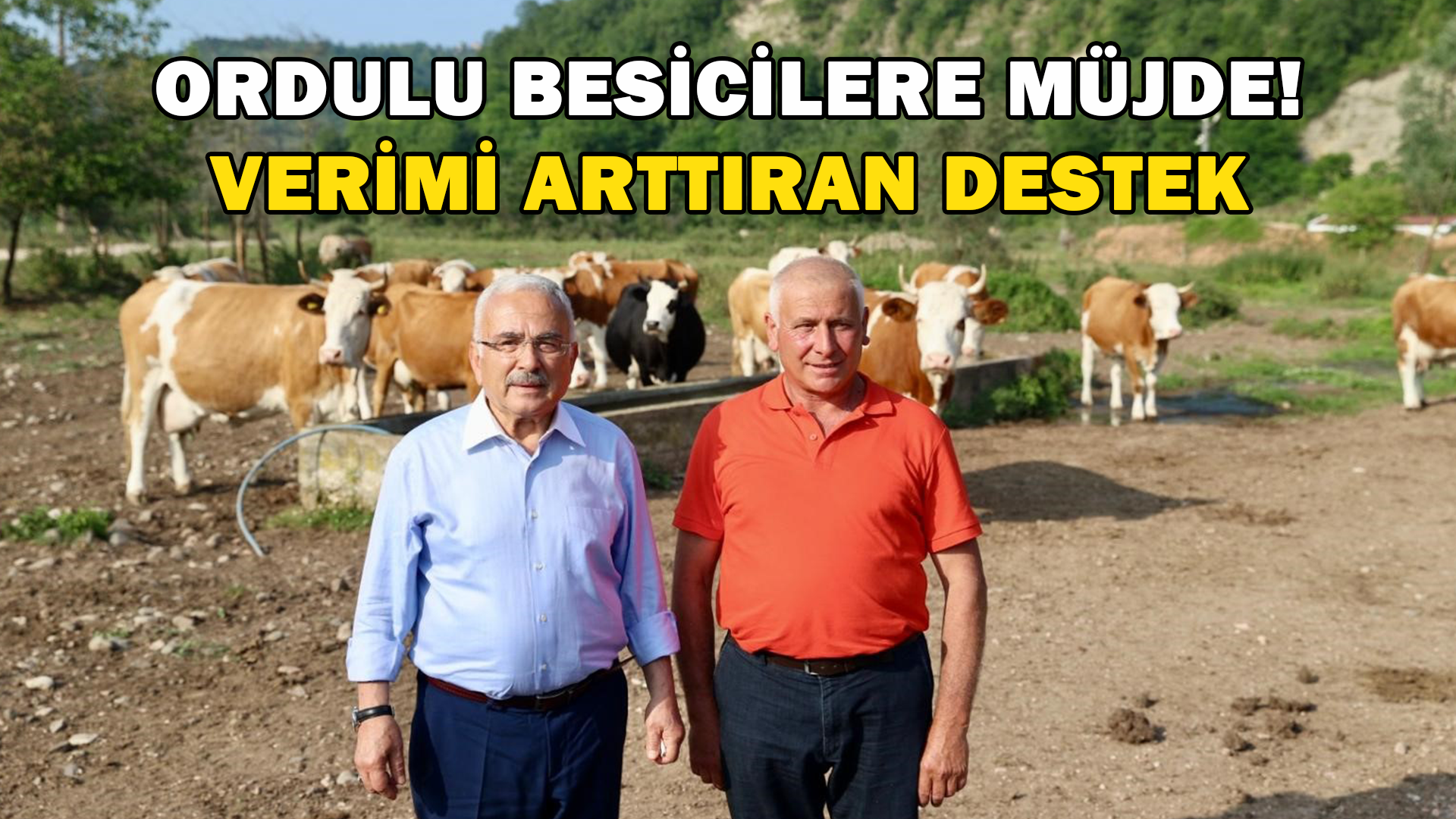 Ordulu Besicilere Müjde! Verimi Arttıran Destek