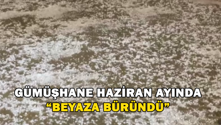 Gümüşhane Haziran Ayında Beyaza Büründü
