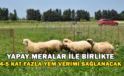 Yapay Meralar İle Birlikte 4-5 Kat Fazla Yem Verimi Sağlanacak