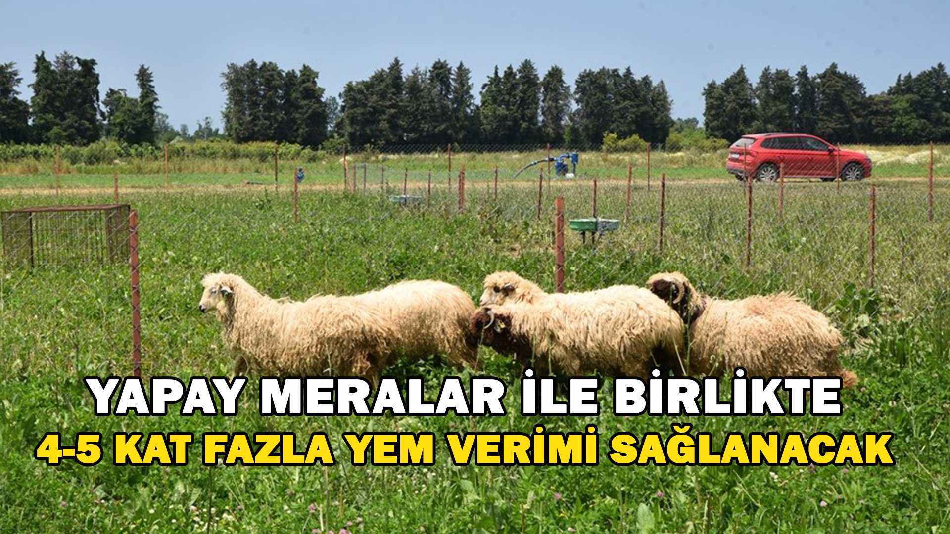 Yapay Meralar İle Birlikte 4-5 Kat Fazla Yem Verimi Sağlanacak