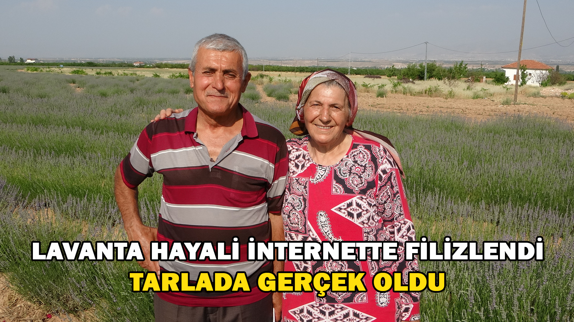 İnternetten Gördüler, Lavanta Üreticisi Oldular