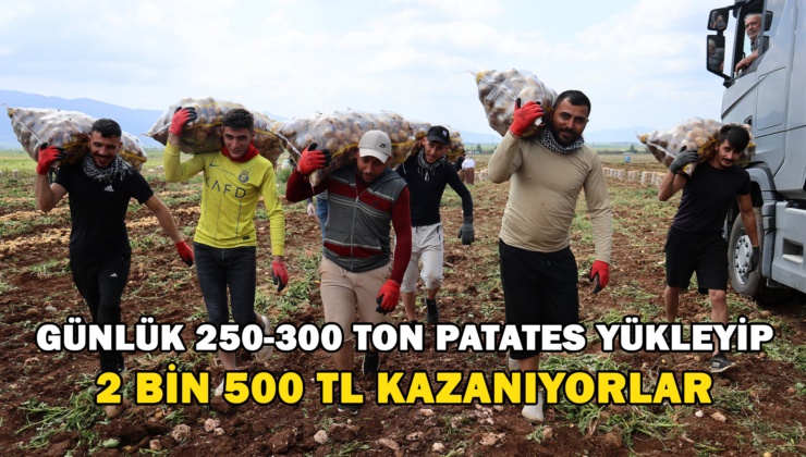 Bunlar Özel İşçiler: Günlük 250-300 Ton Patates Yükleyip 2 Bin 500 Tl Kazanıyorlar