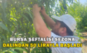 Bursa Şeftalisi Sezona Dalında 50 Lirayla Başladı
