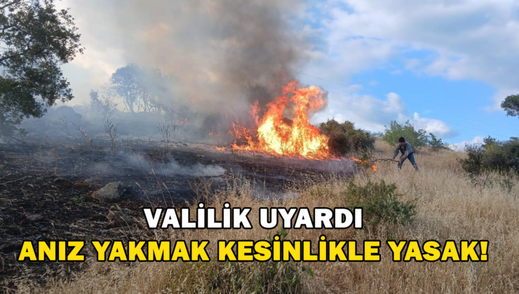 Valilik Uyardı, Anız Yakmak Kesinlikle Yasak!