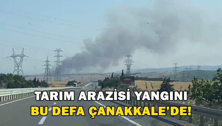 Tarım Arazisi Yangını Bu Defa Çanakkale!