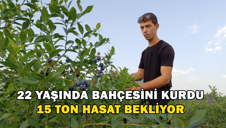 22 Yaşında Kendi Bahçesini Kurdu, 15 Ton Hasat Bekliyor