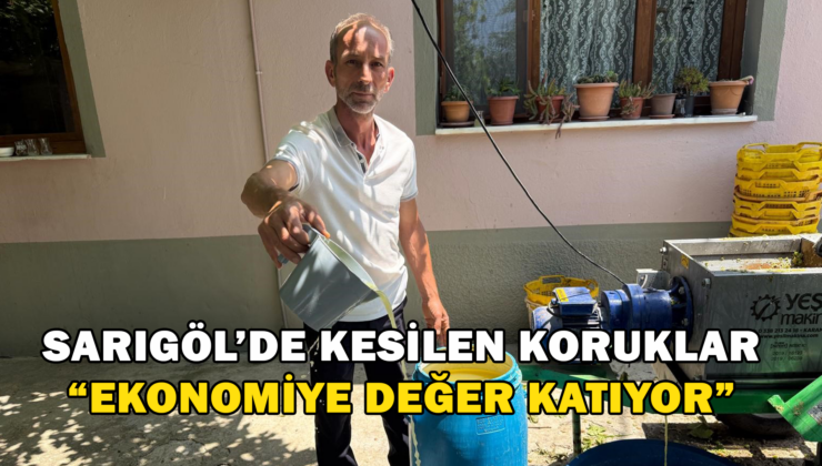 Sarıgöl’De Kesilen Koruklar “Ekonomiye Değer Katıyor”