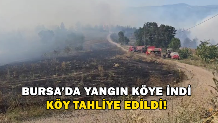 Bursa’Da Yangın Köye İndi Köy Tahliye Edildi