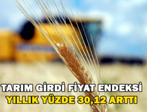 Tarım-Gfe Yıllık Yüzde 30,12 Arttı