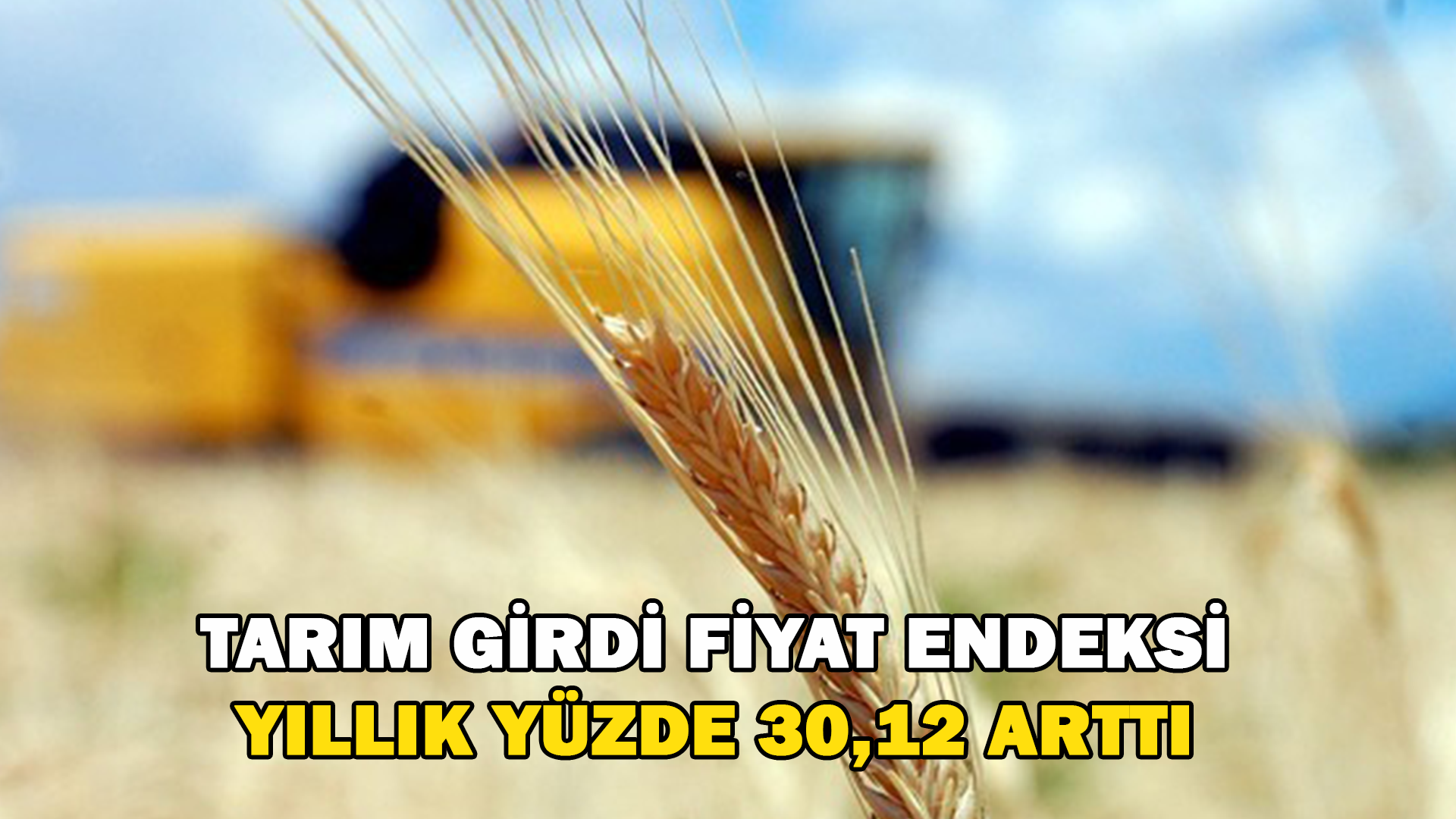 Tarım-Gfe Yıllık Yüzde 30,12 Arttı