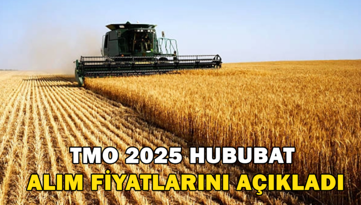 Tmo 2025 Yılı Hububat Alım Fiyatlarını Açıkladı