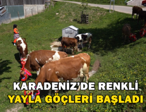 Karadeniz’De Renkli Yayla Göçleri