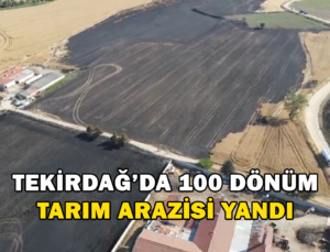 Tekirdağ’da 100 Dönüm Tarım Arazisi Yandı