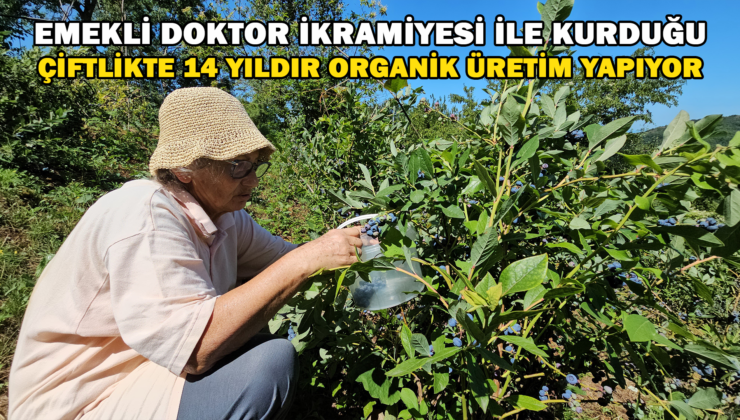 Emekli Doktor, İkramiyesiyle Kurduğu Çiftlikte 14 Yıldır Organik Üretim Yapıyor