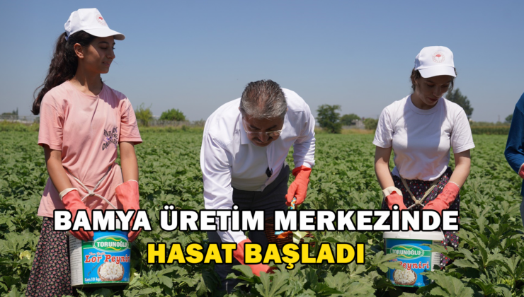 Türkiye’Nin Bamya Üretim Merkezinde Hasat Başladı
