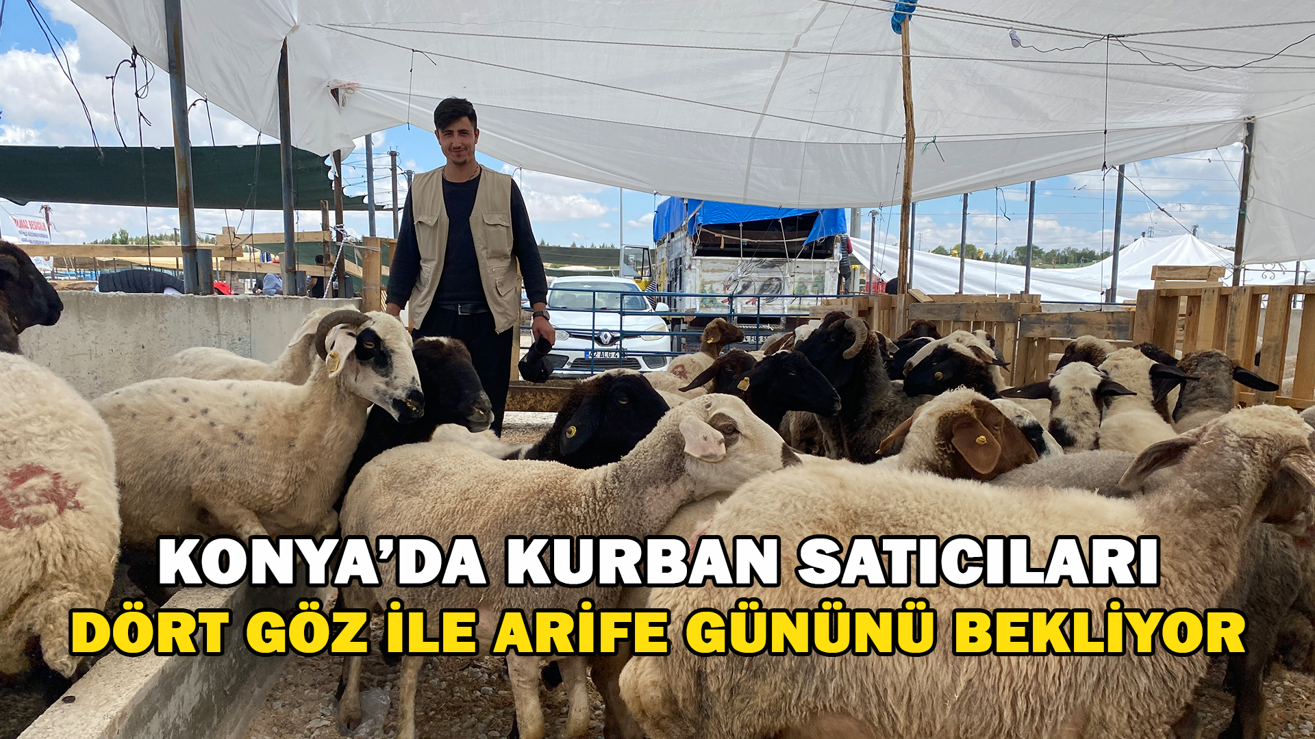 Konya’da Kurban Satıcıları Arife Gününü Bekliyor