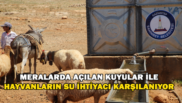 Meralarda Açılan Kuyularla Küçükbaş Hayvanların Su İhtiyacı Karşılanıyor