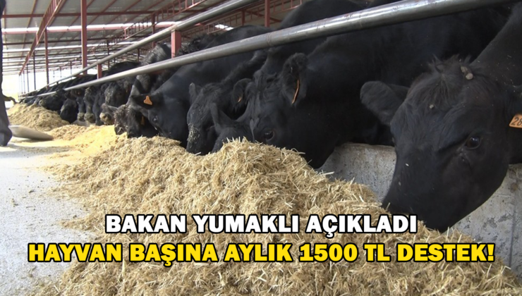 Bakan Yumaklı: “Hayvan Başına Aylık 1500 Lira, Yıllık Toplam 18 Bin Lira Bakım Ve Besleme Desteği Vereceğiz”