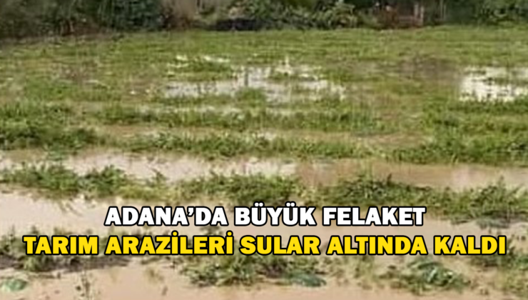 Adana’Nın İlçelerinde Tarım Arazileri Sular Altında Kaldı