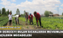 40 Dereceyi Bulan Sıcaklarda Mevsimlik İşçilerin Mücadelesi