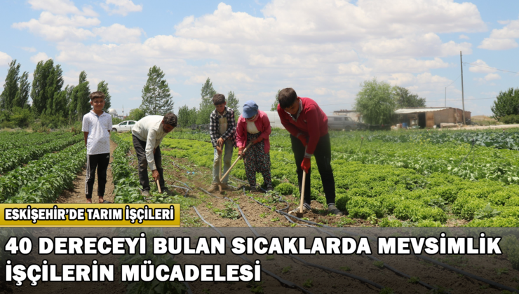 40 Dereceyi Bulan Sıcaklarda Mevsimlik İşçilerin Mücadelesi