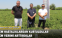 Hem Hastalıklardan Kurtuldular Hem verimi Arttırdılar