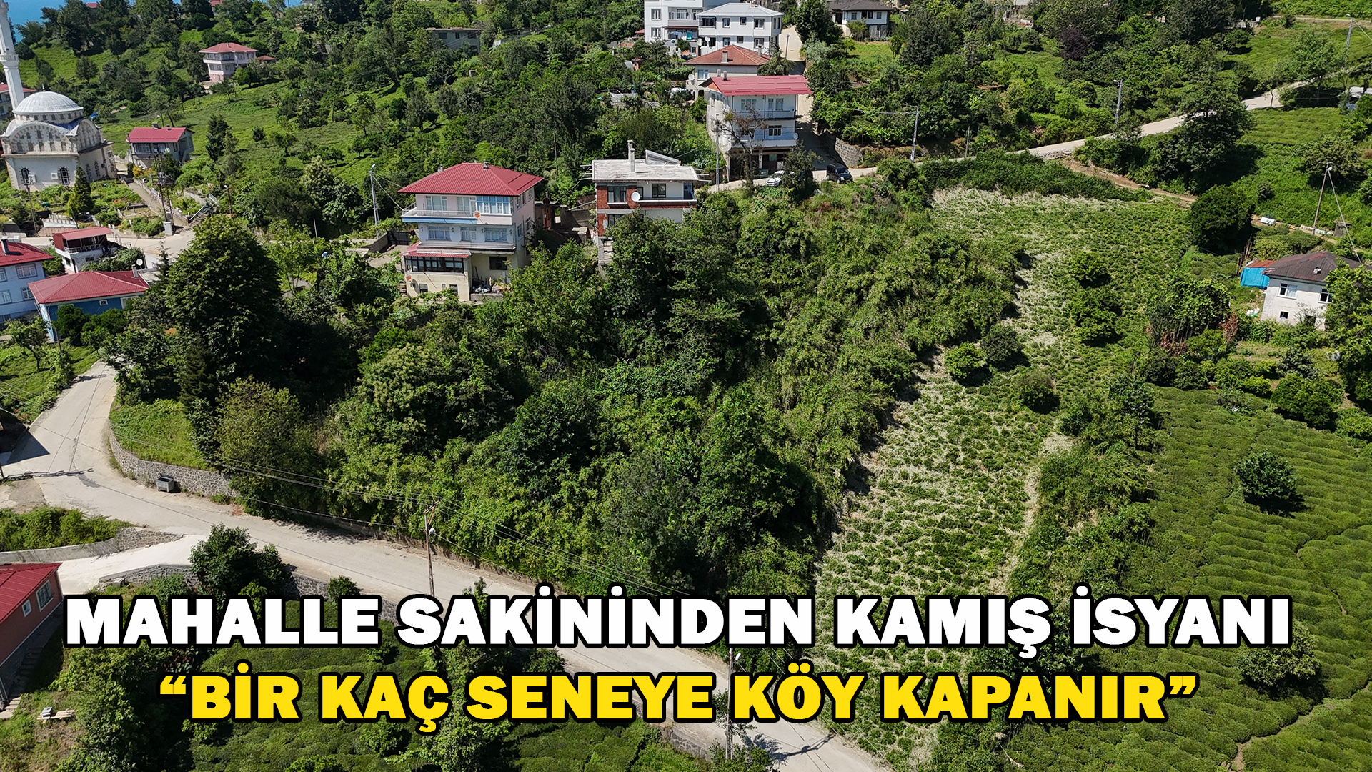 Mahalle Sakininden Kamış İsyanı: “Bir Kaç Sene Sonra Köy Kapanır”