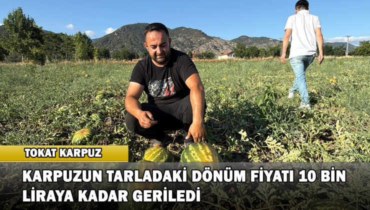Tokat’ta Karpuzun Tarladaki Dönüm Fiyatı 10 Bin Liraya Kadar Geriledi