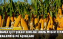 Adana Çiftçiler Birliği 2025 Yılı Mısır Fiyat Beklentisini Açıkladı