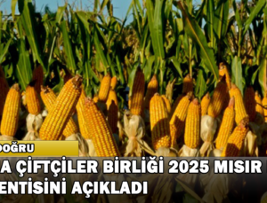 Adana Çiftçiler Birliği 2025 Yılı Mısır Fiyat Beklentisini Açıkladı