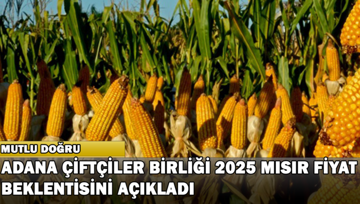 Adana Çiftçiler Birliği 2025 Yılı Mısır Fiyat Beklentisini Açıkladı