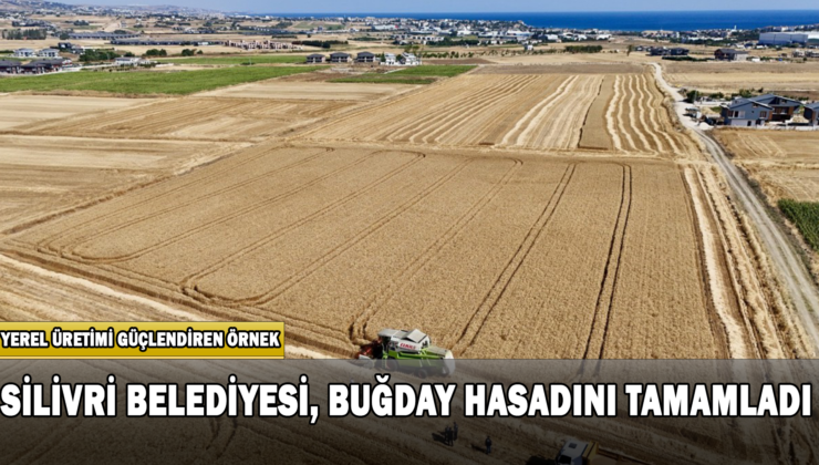 Silivri Belediyesi, Buğday Hasadını Tamamladı