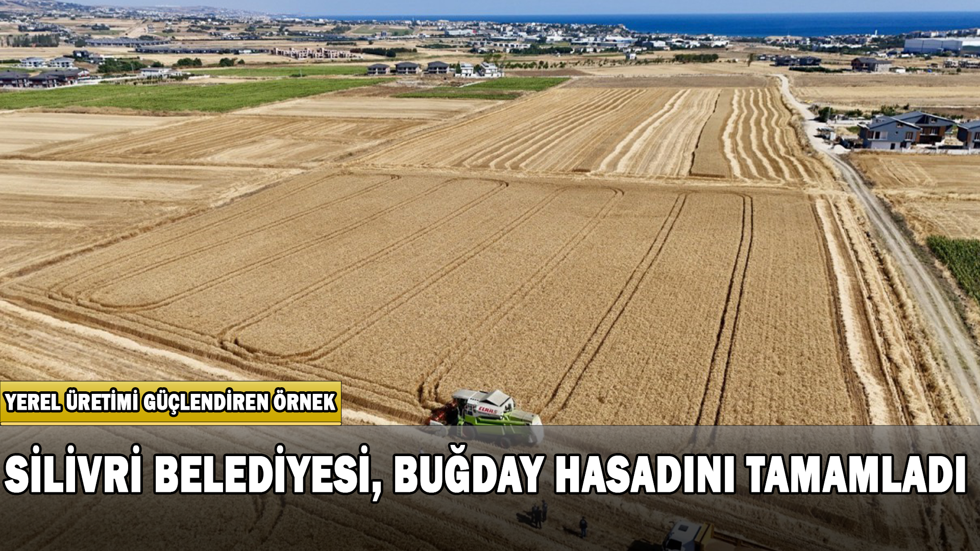 Silivri Belediyesi, Buğday Hasadını Tamamladı