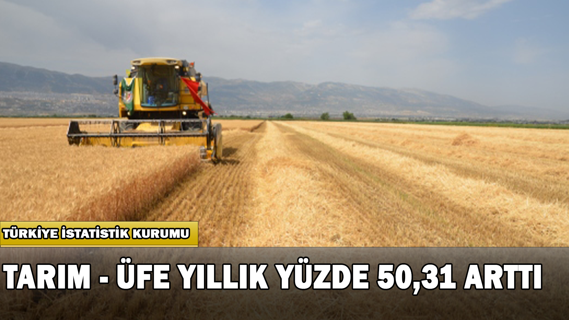 Tarım – Üfe Yıllık Yüzde 50,31 Arttı