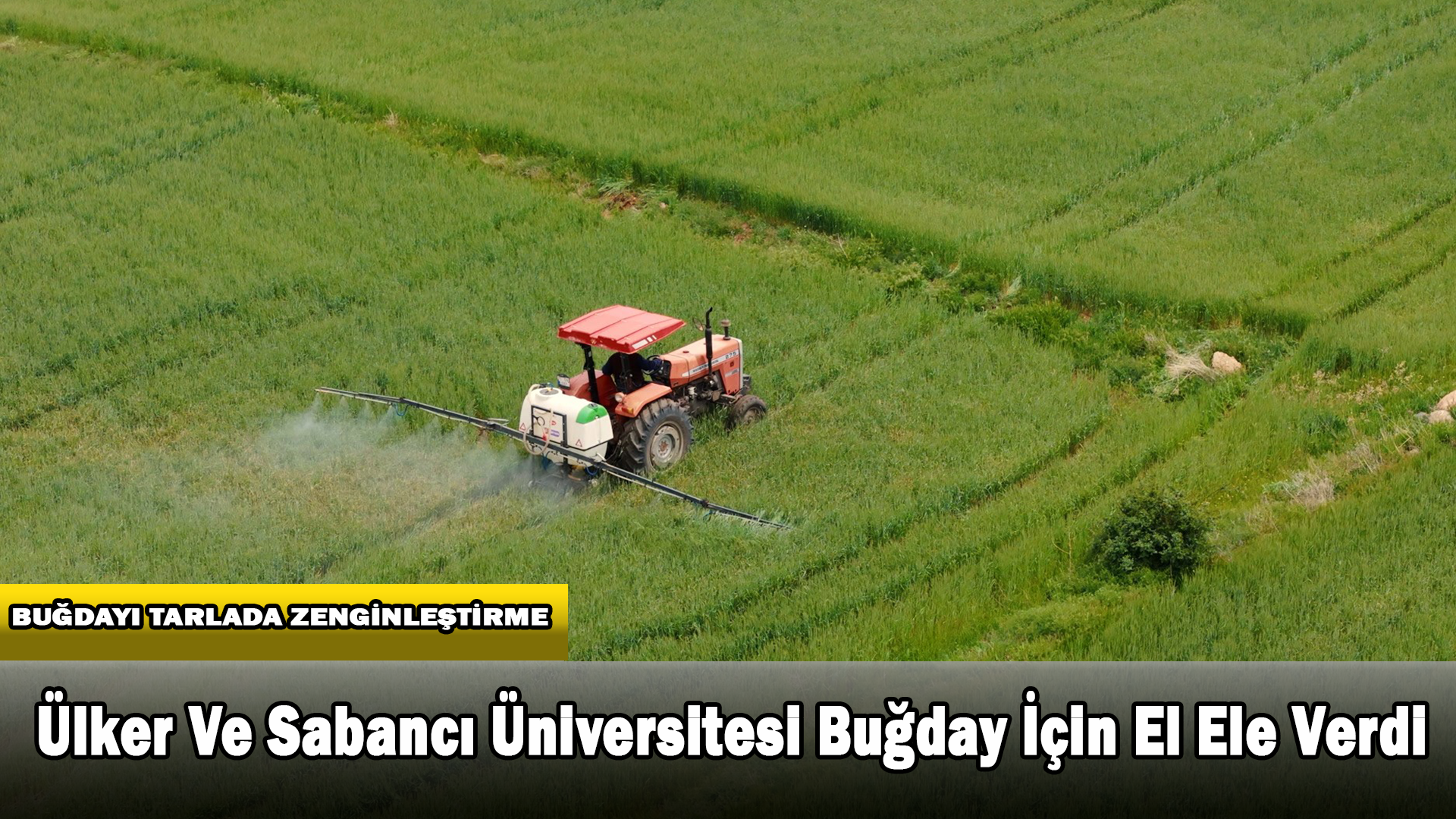 Ülker Ve Sabancı Üniversitesi Buğday İçin Ele Ele Verdi