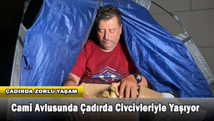 Çadırda Civcivlerle Zorlu Yaşam