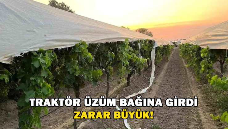 Traktör Üzüm Bağına Girdi Zarar Büyük!