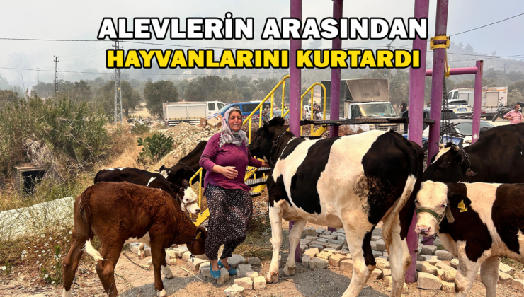 Alevlerin Sıçradığı Ahırından Ekiplerin Yardımıyla Hayvanları Kurtardı