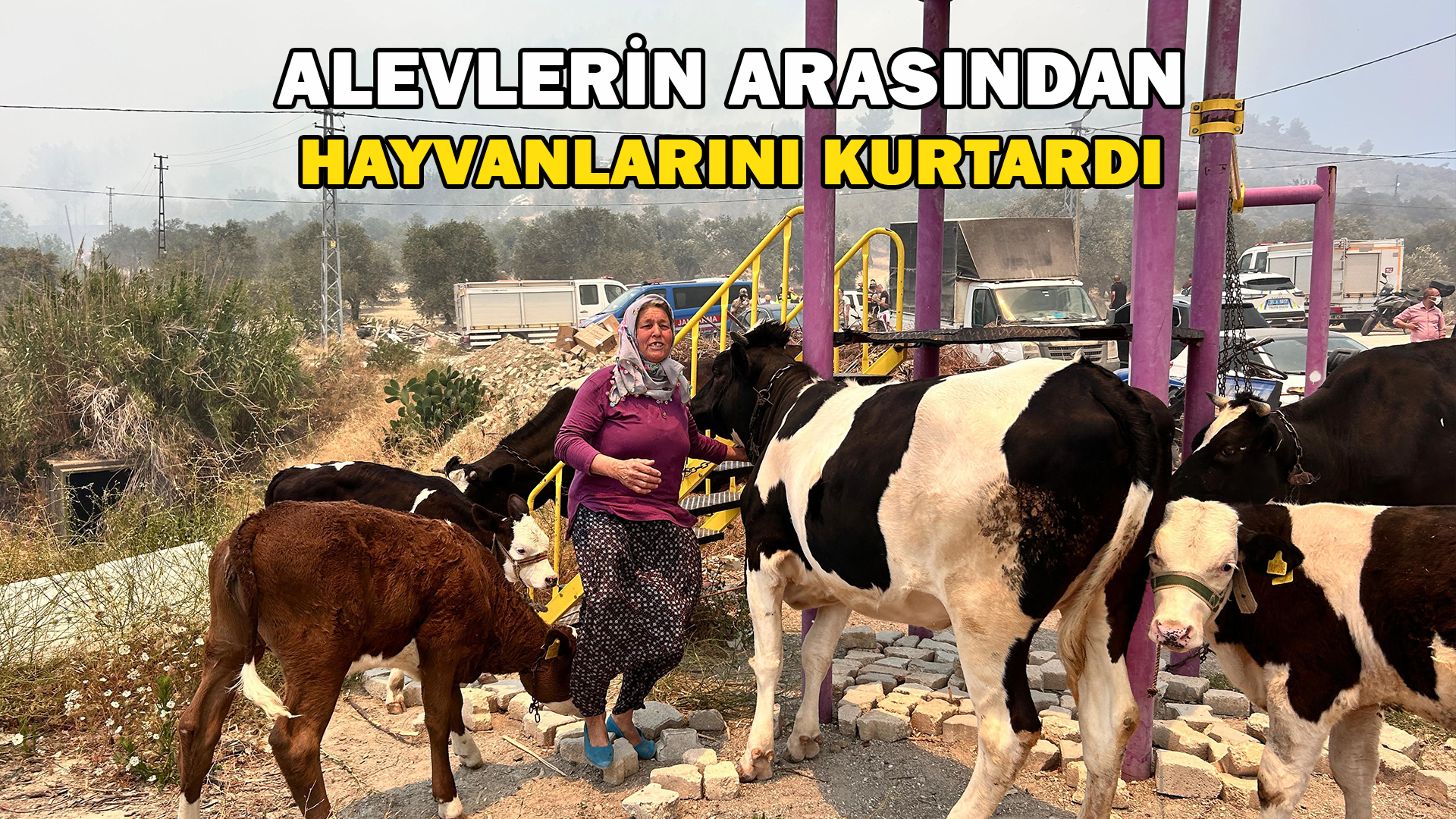 Alevlerin Sıçradığı Ahırından Ekiplerin Yardımıyla Hayvanları Kurtardı