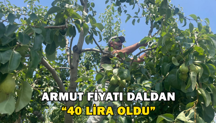 Armut Fiyatı Daldan 40 Lira Oldu