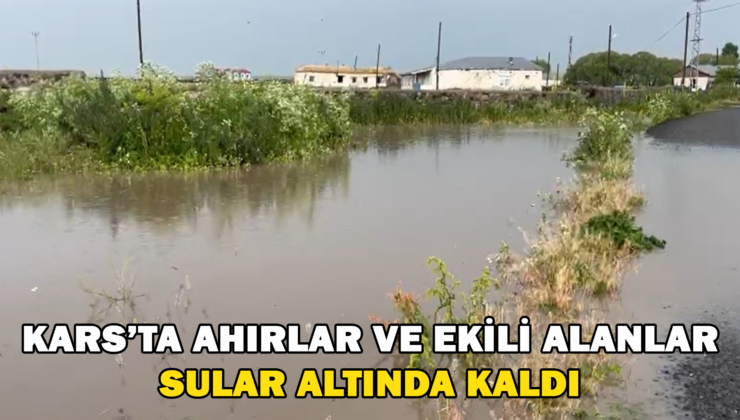 Kars’Ta Ahırlar Ve Ekili Alanlar Sular Altında Kaldı