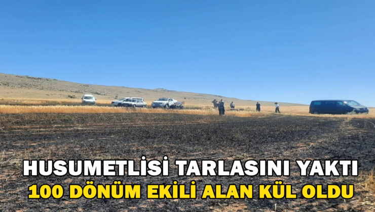 Husumetlisi Tarlasını Yaktı, 100 Dönüm Ekili Alan Kül Oldu