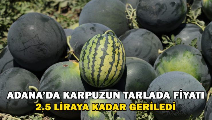 Adana’da Karpuzun Tarlada Kilogram Fiyatı 2,5 Liraya Kadar Geriledi